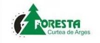 Foresta-e1521800204456